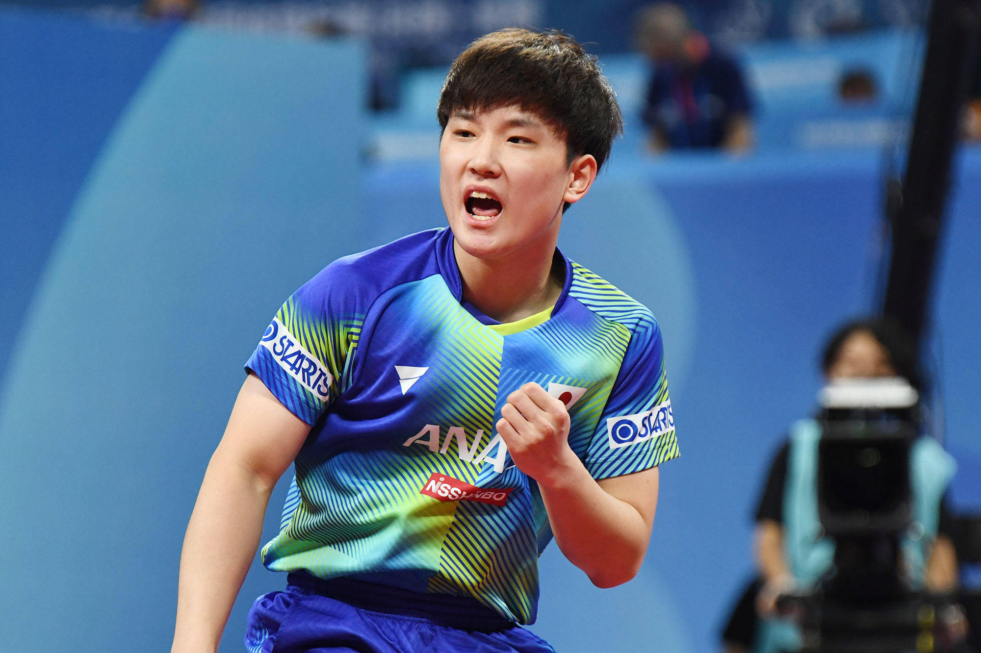 拔的毅力 拔的毅力